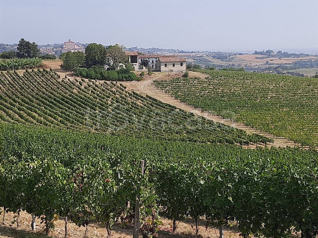 immagine annuncio 1 di 9