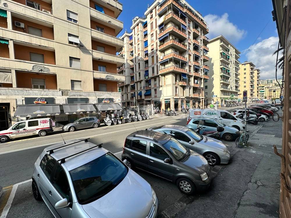 immagine annuncio 2 di 12