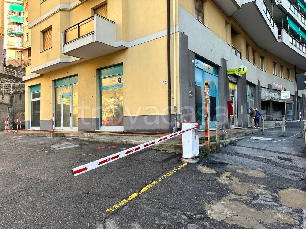 immagine annuncio 9 di 13