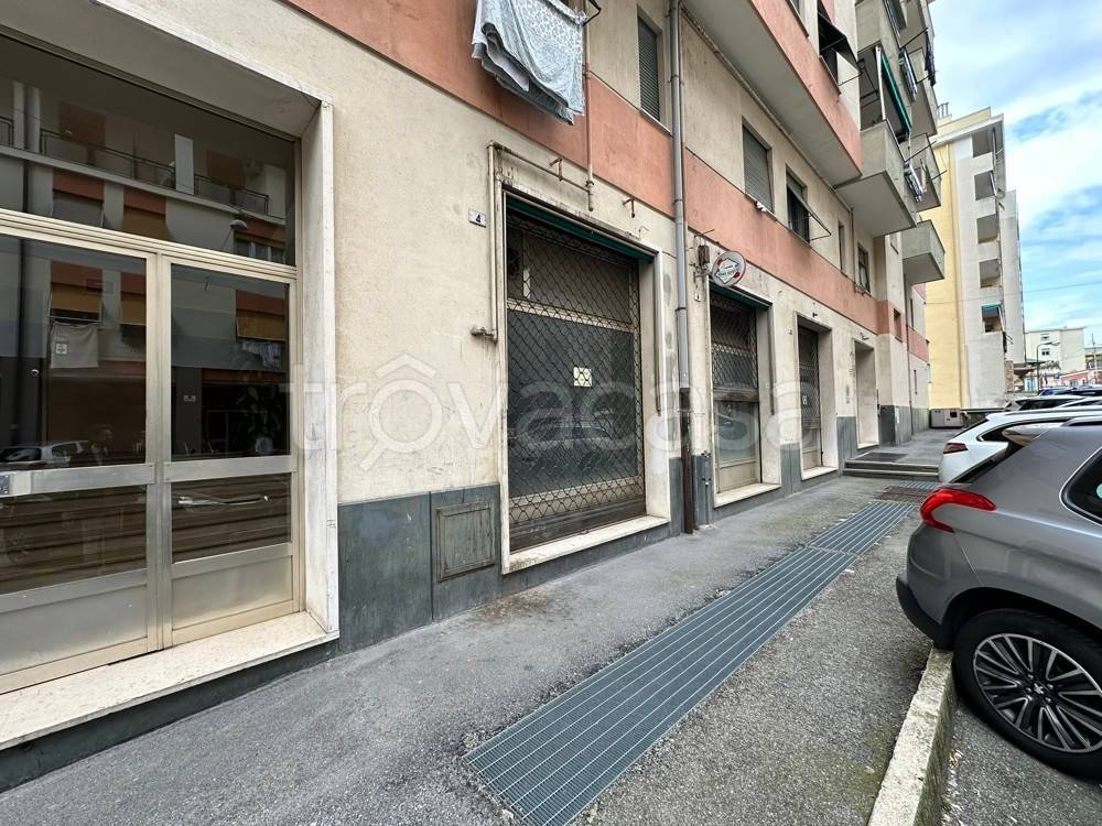 immagine annuncio 10 di 12