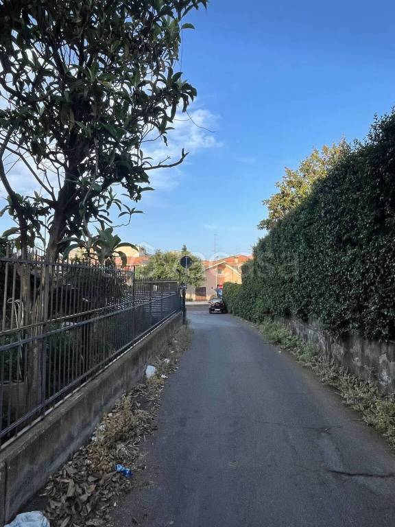 immagine annuncio 6 di 8