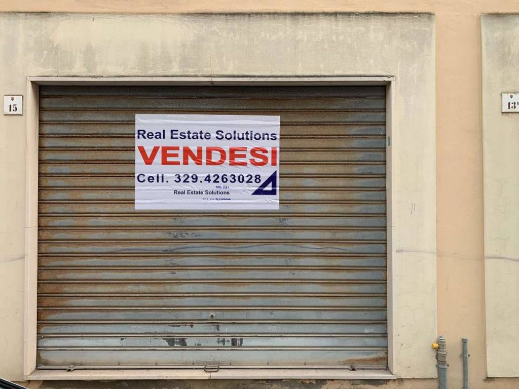 immagine annuncio 1 di 15