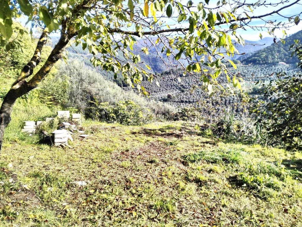 immagine annuncio 2 di 8