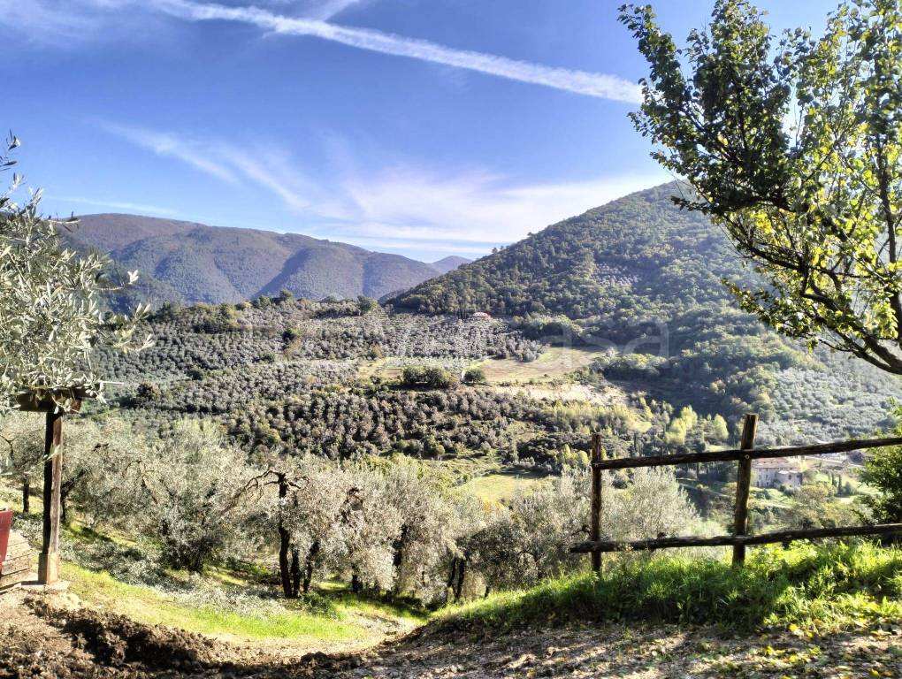 immagine annuncio 3 di 8