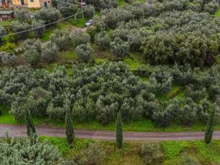 Terreno residenziale in vendita a quarrata via di bindino