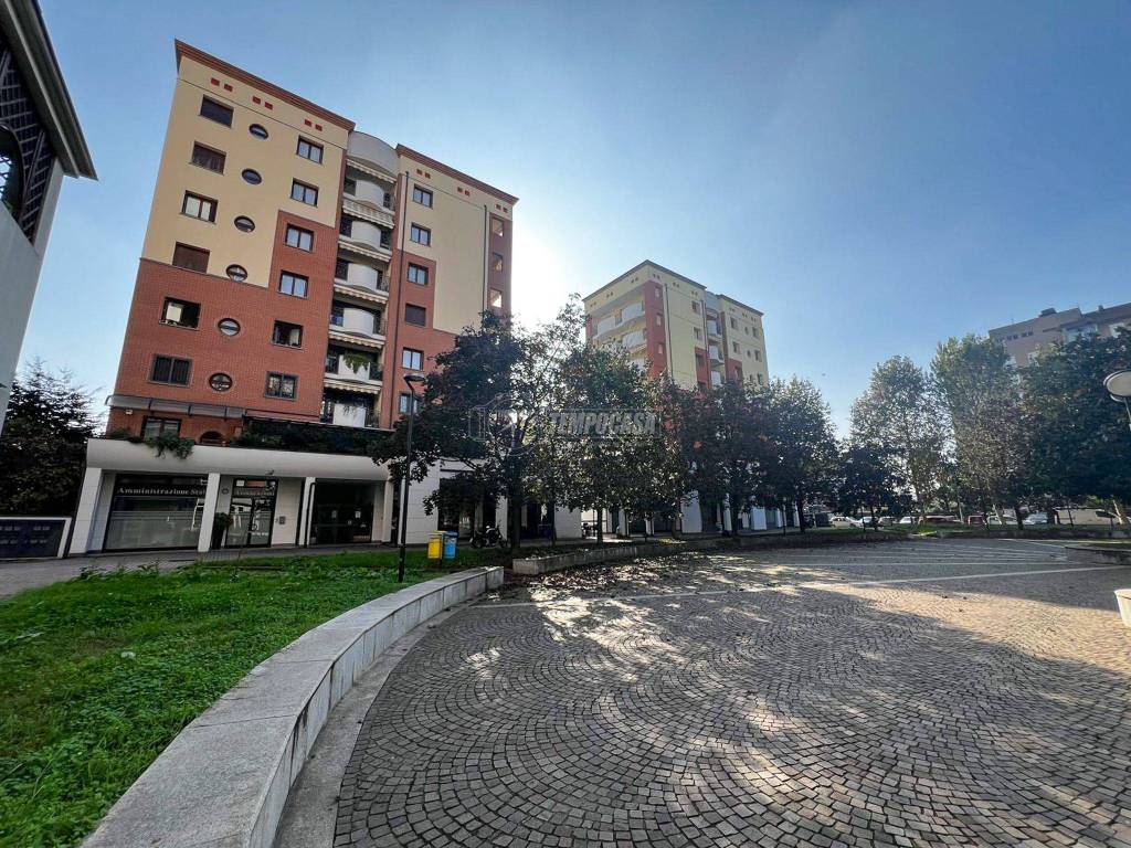 immagine annuncio 5 di 9