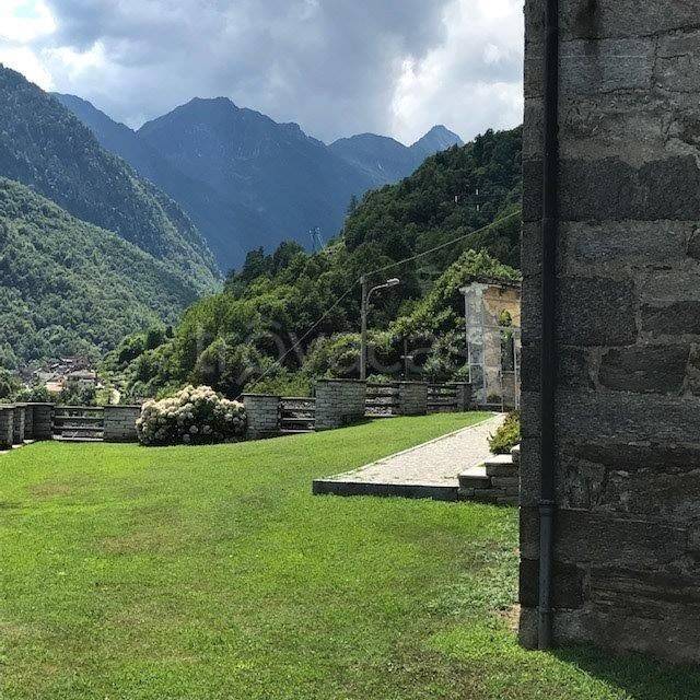 immagine annuncio 12 di 13