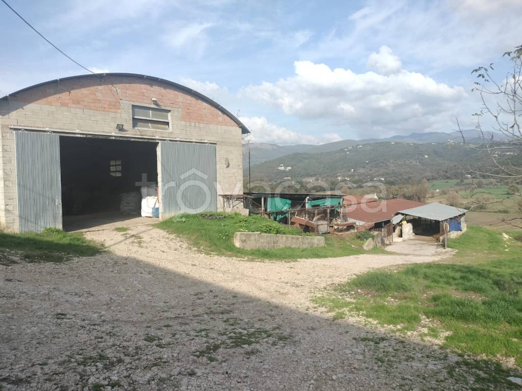 immagine annuncio 6 di 13