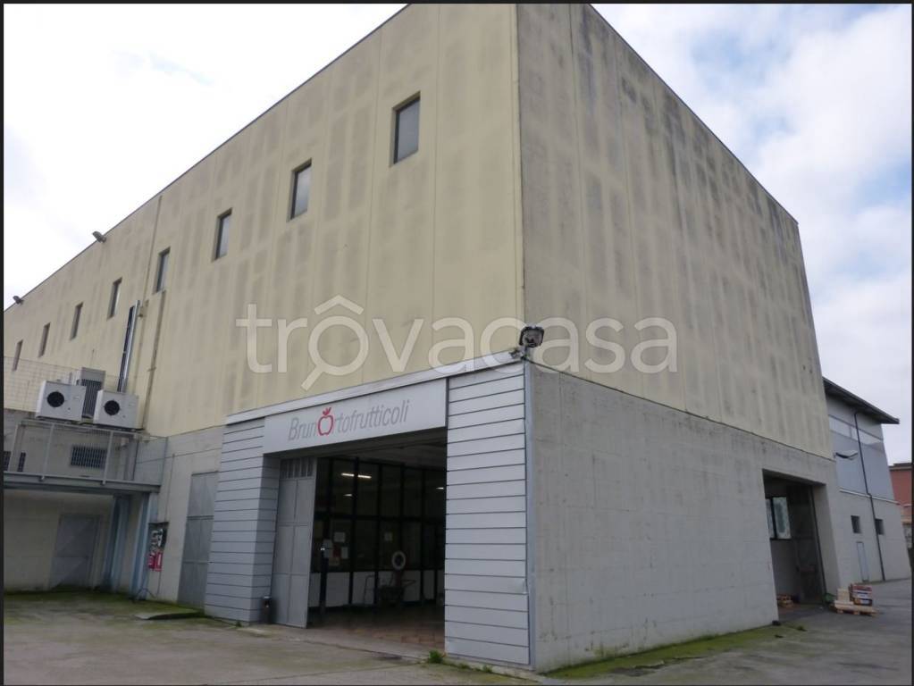 immagine annuncio 9 di 13
