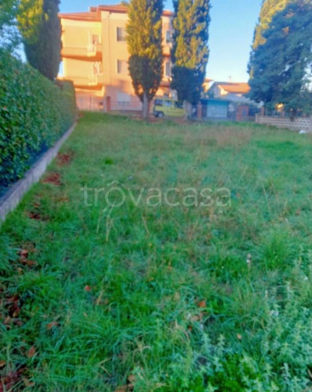 immagine annuncio 2 di 7