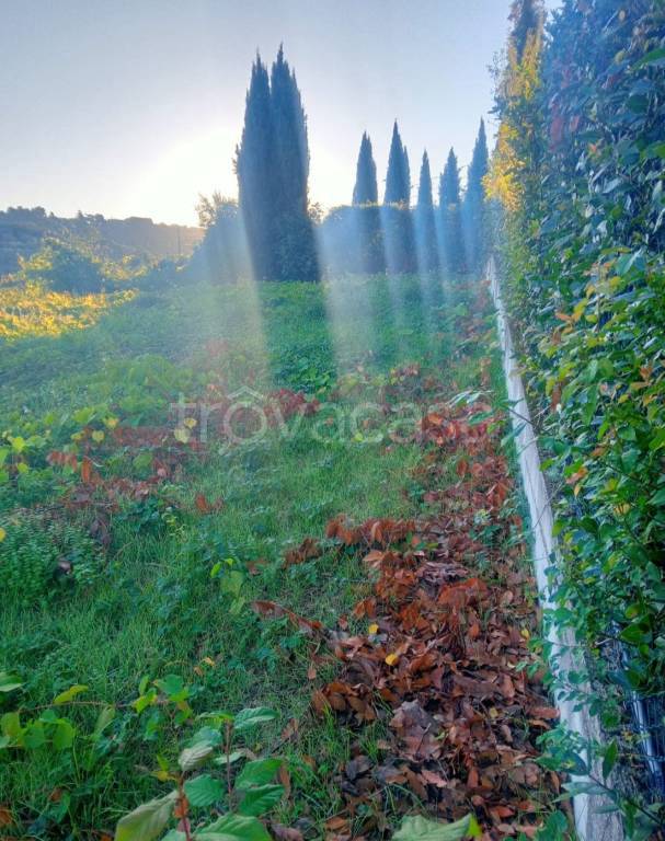 immagine annuncio 3 di 7