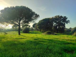 Terreno agricolo in vendita a bracciano via delle molare