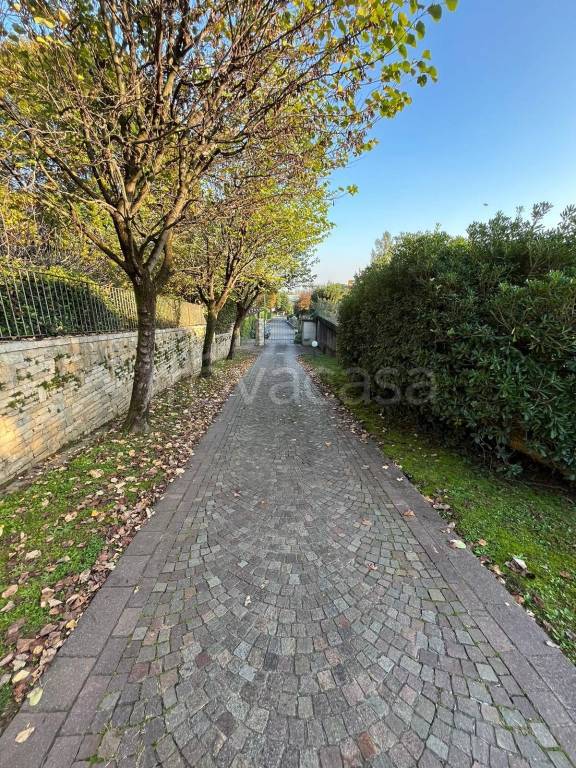 immagine annuncio 5 di 11