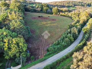 Terreno agricolo in vendita a manziana via della matrice