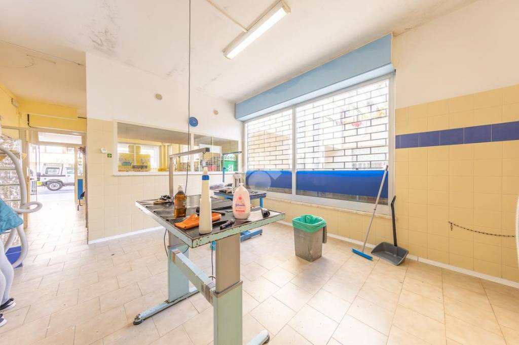 immagine annuncio 9 di 14