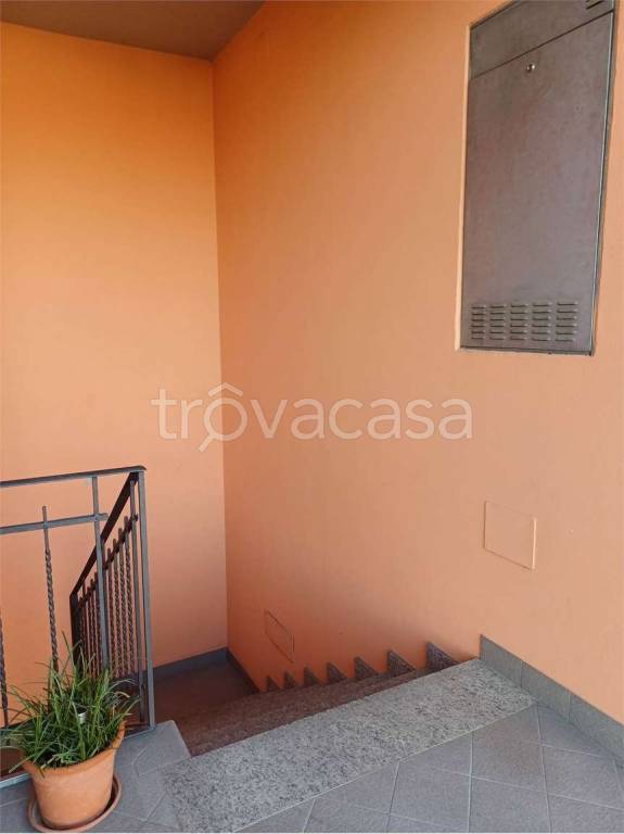 immagine annuncio 13 di 14