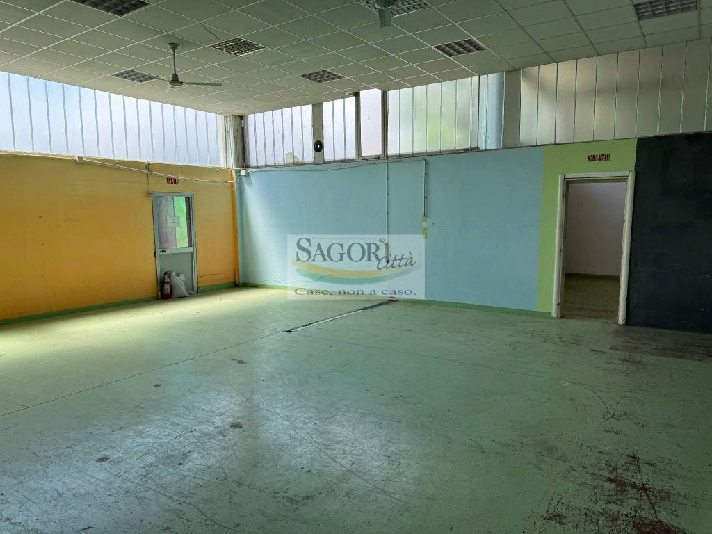 immagine annuncio 1 di 8
