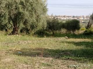 Terreno agricolo in vendita a vibo valentia strada interpoderale candrilli