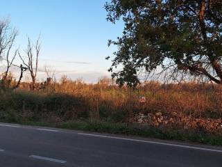 Terreno agricolo in vendita a san cassiano sp86, snc