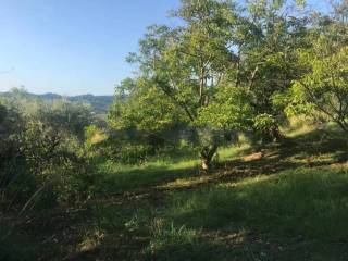 Casale in vendita ad aiello calabro contrada giani