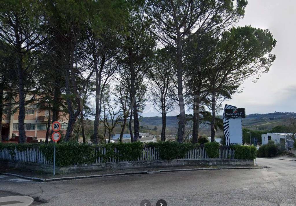 immagine annuncio 6 di 11