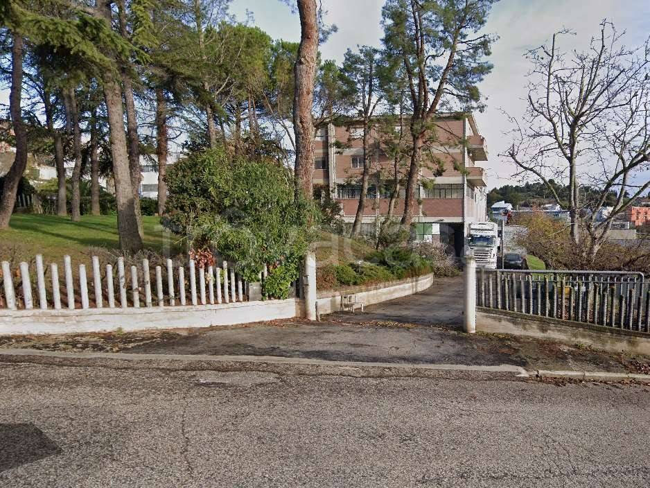 immagine annuncio 7 di 11