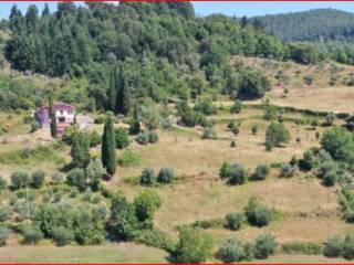 Terreno agricolo all'asta a bibbiena località casa biagino