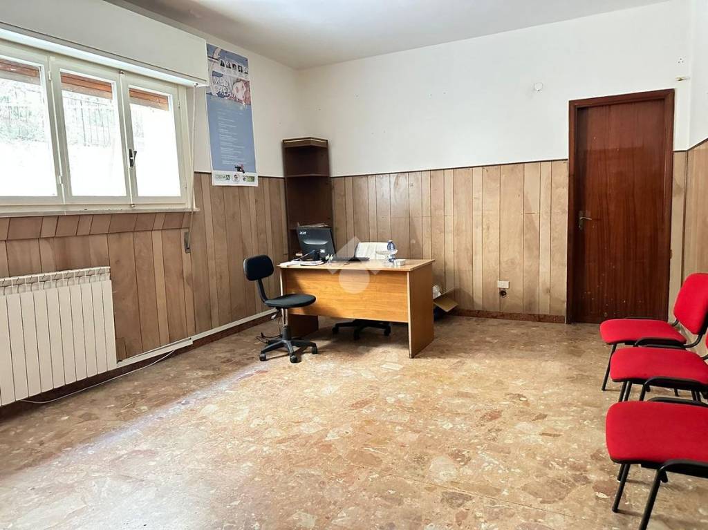 immagine annuncio 9 di 14