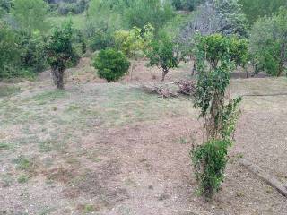 Terreno agricolo in vendita a villafranca tirrena via santissima annunziata, 30