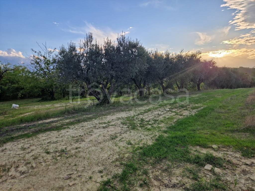 immagine annuncio 10 di 11