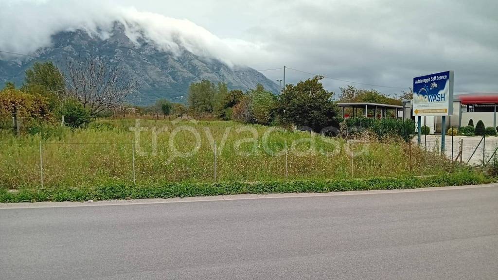 immagine annuncio 3 di 8