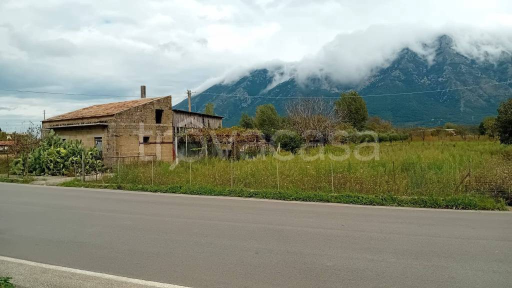 immagine annuncio 4 di 8
