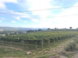 Terreno agricolo in vendita a santa maria imbaro 