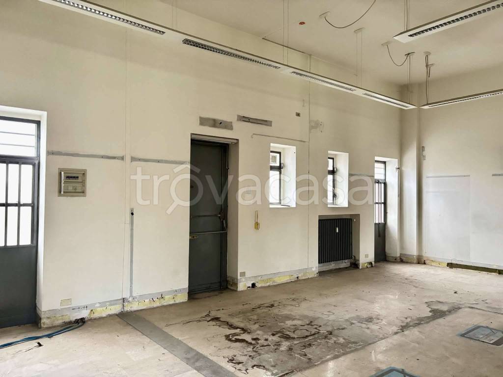 immagine annuncio 12 di 13