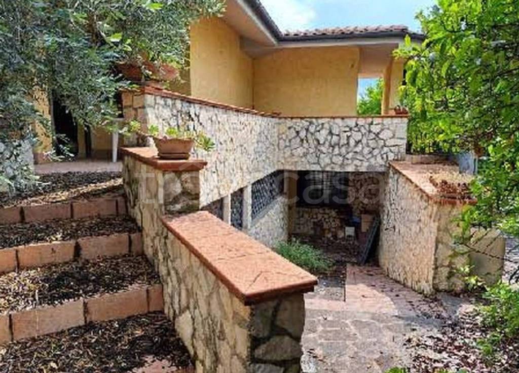 immagine annuncio 5 di 13