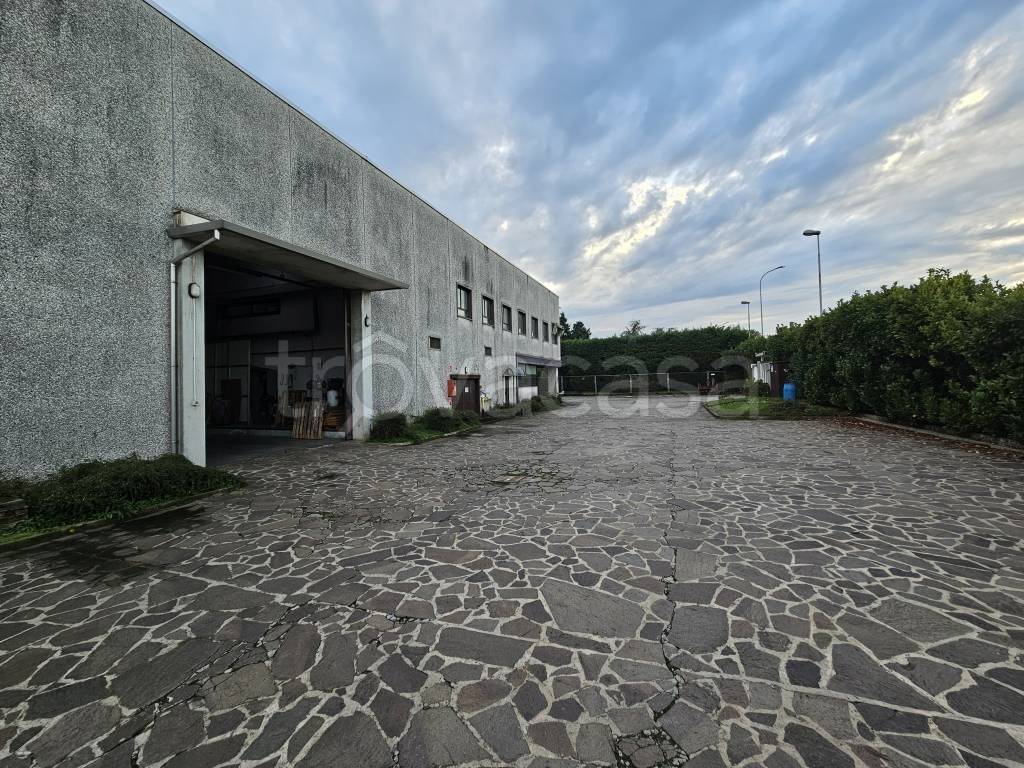 immagine annuncio 5 di 15
