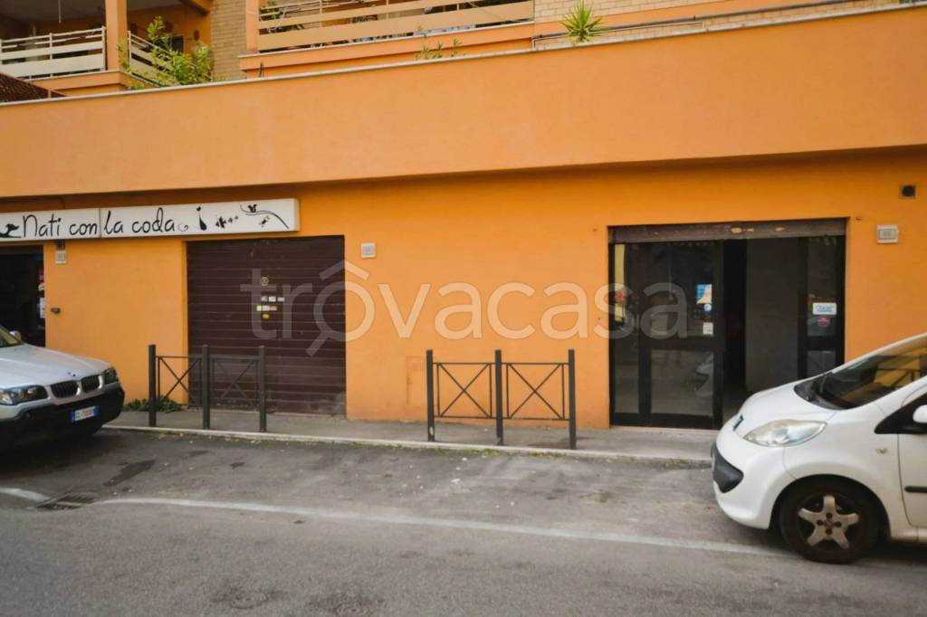 immagine annuncio 12 di 15