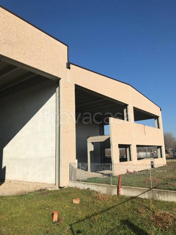 immagine annuncio 2 di 4