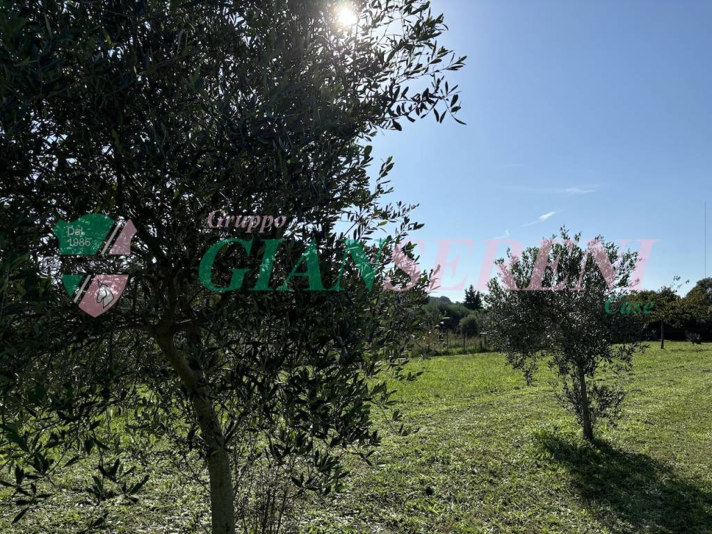 immagine annuncio 7 di 13