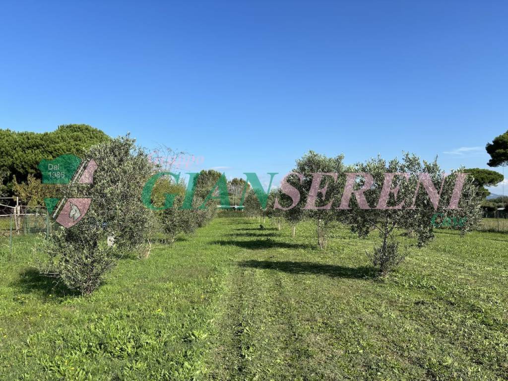 immagine annuncio 10 di 13