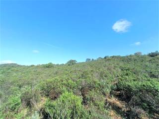 Terreno agricolo in vendita a olbia via raica, 94