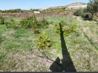 Terreno agricolo all'asta a canicattì contrada aquilata grottafumata