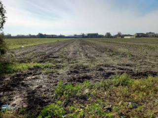 Terreno residenziale in vendita a capua via parisi