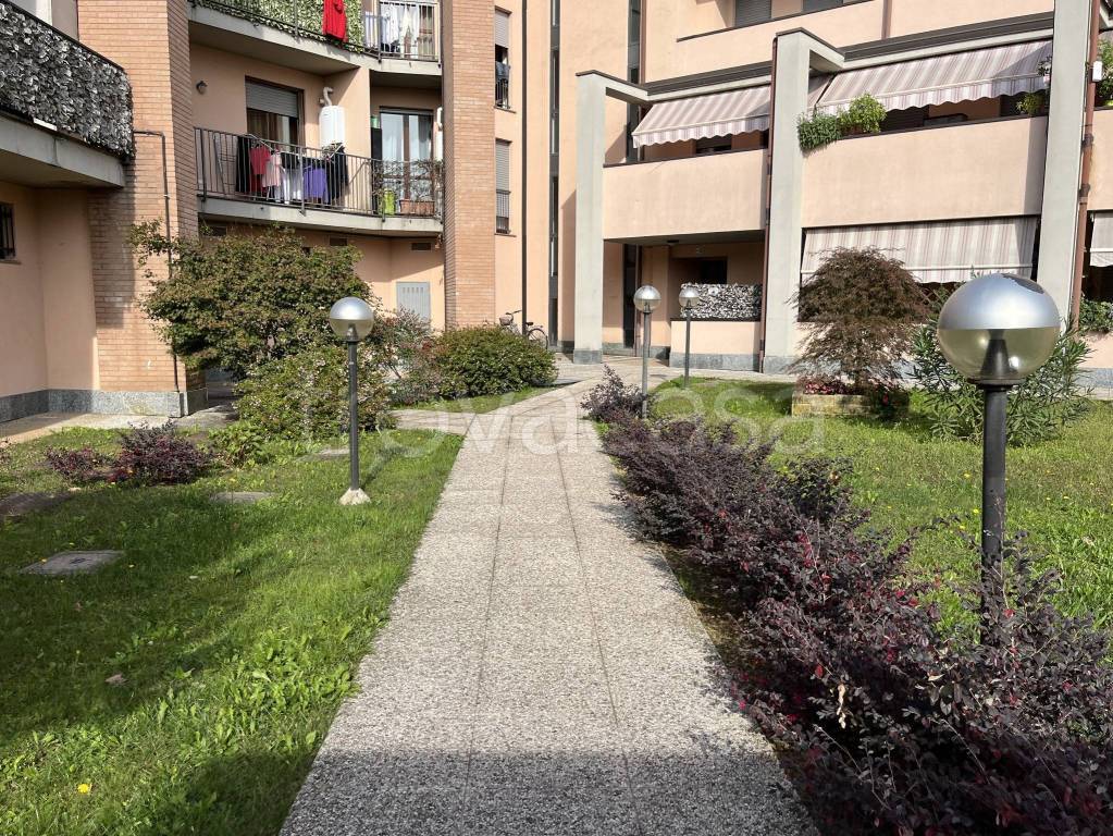 immagine annuncio 11 di 12