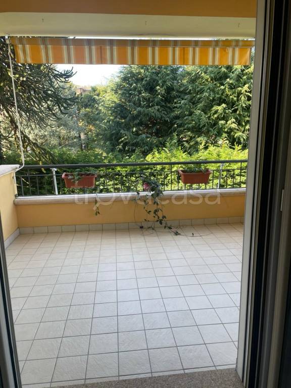 immagine annuncio 1 di 9