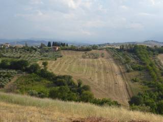 Terreno agricolo in vendita a sant'eusanio del sangro via roma