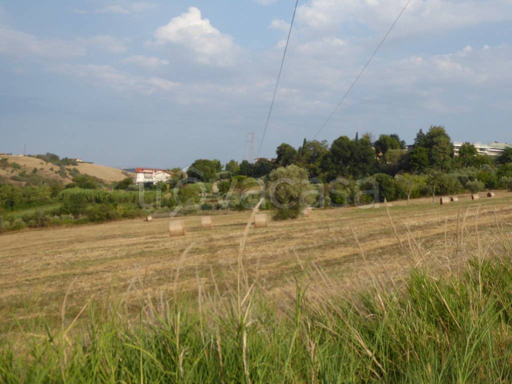 immagine annuncio 4 di 11