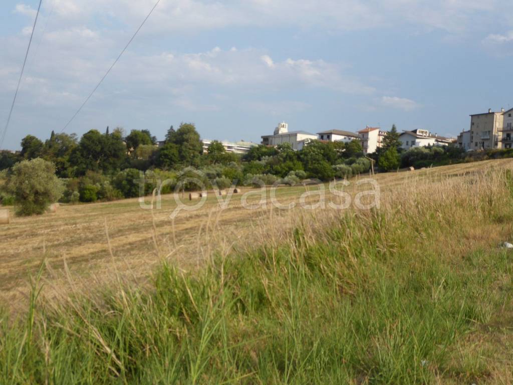 immagine annuncio 5 di 11