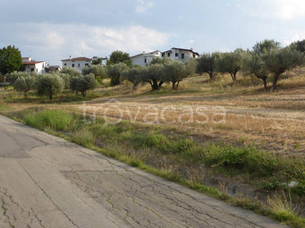 immagine annuncio 8 di 11