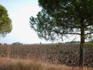 Terreno agricolo in vendita a rimini via lea giaccaglia, 3